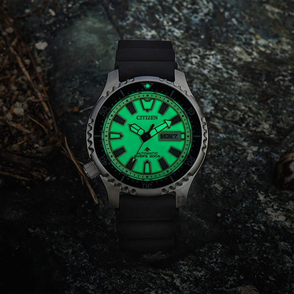 Citizen NY0119-19X