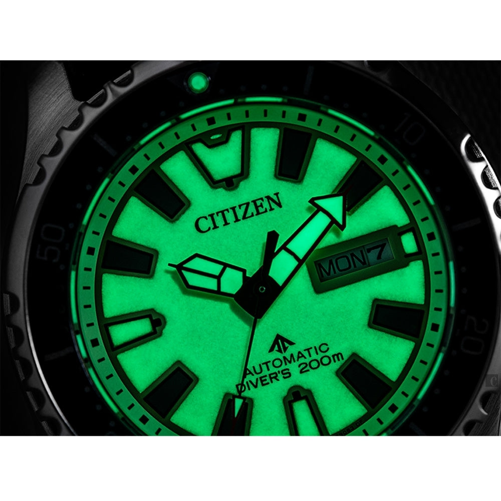 Citizen NY0119-19X